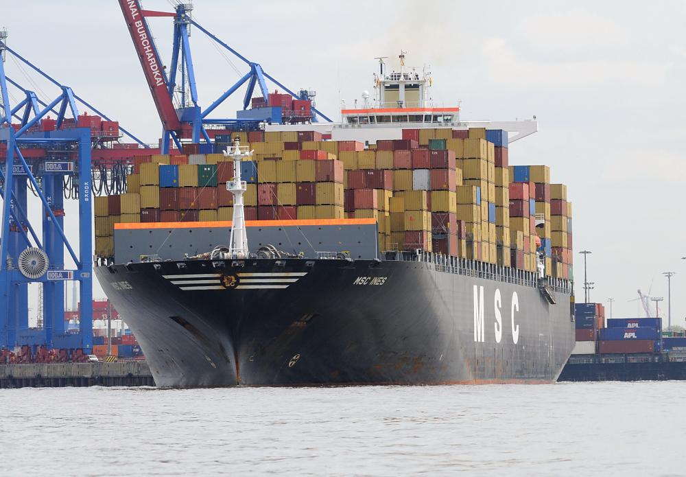 7350 Cargoship MSC INES - Burchardkai Hafen Hamburg | Schiffsbilder Hamburger Hafen - Schiffsverkehr Elbe